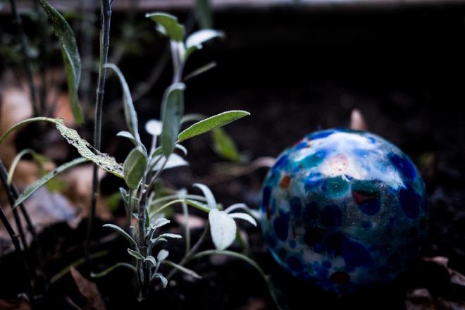 Green leaves and glass coloured bottled