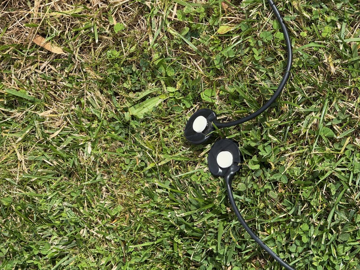 What does a garden sound like?