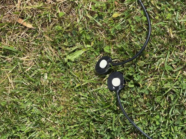 What does a garden sound like?